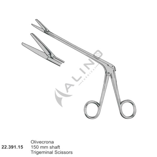 Dissecting Scissors