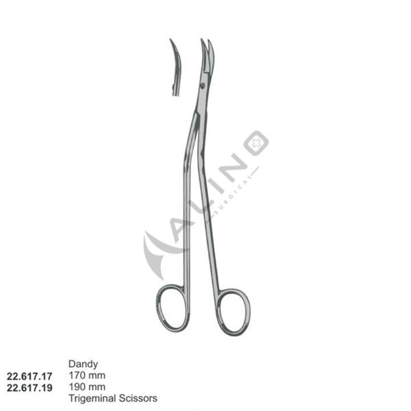 Dissecting Scissors