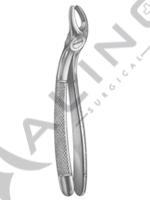 Extracting Forceps English pattern 