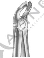 Extracting Forceps English pattern 