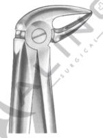 Extracting Forceps English pattern 