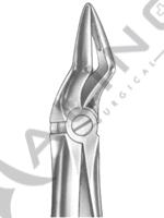 Extracting Forceps English pattern 