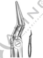 Extracting Forceps English pattern 