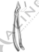 Relax Extracting Forceps 