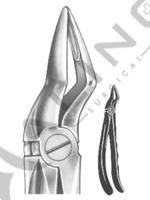 Relax Extracting Forceps 