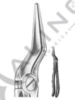 Relax Extracting Forceps 