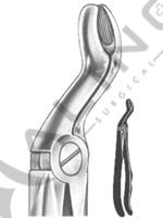 Relax Extracting Forceps 