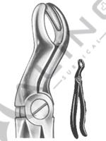 Relax Extracting Forceps 