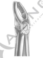 Relax Extracting Forceps 