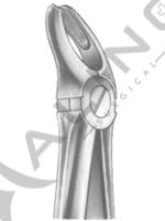 Relax Extracting Forceps 