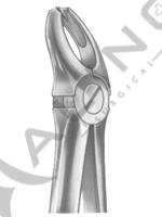 Relax Extracting Forceps 