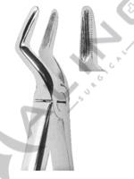 Extracting Forceps For Children - English Pattern 