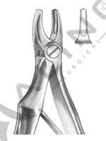 Extracting Forceps For Children - English Pattern 