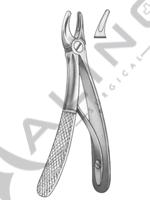 Extracting Forceps For Children - English Pattern 