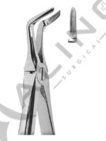 Extracting Forceps English pattern 