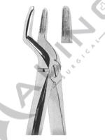 Extracting Forceps English pattern 