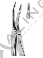 Extracting Forceps English pattern 