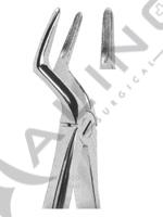 Extracting Forceps English pattern 