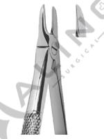 Extracting Forceps English pattern 