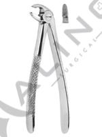 Extracting Forceps English pattern 