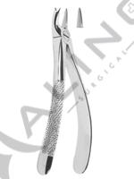 Extracting Forceps English pattern 