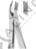 Extracting Forceps English pattern 