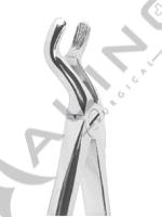 Extracting Forceps English pattern