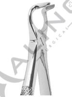 Extracting Forceps English pattern 