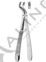 Extracting Forceps English pattern 