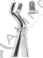 Extracting Forceps English pattern 