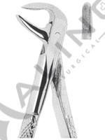 Extracting Forceps English pattern 