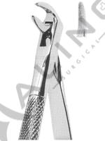 Extracting Forceps English pattern 