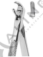 Extracting Forceps English pattern 