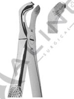 Extracting Forceps English pattern 