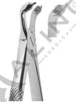 Extracting Forceps English pattern 