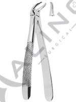 Extracting Forceps English pattern 