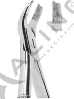 Extracting Forceps English pattern 