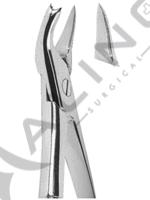 Extracting Forceps English pattern 