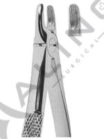 Extracting Forceps English pattern 