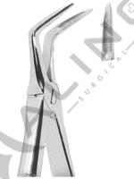 Extracting Forceps English pattern 