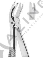 Extracting Forceps English pattern 