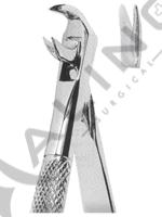 Extracting Forceps English pattern 