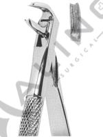 Extracting Forceps English pattern 