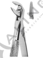 Extracting Forceps English pattern 