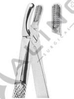 Extracting Forceps English pattern 