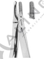 Extracting Forceps With Anatomically Shaped Handle