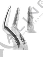 Extracting Forceps With Anatomically Shaped Handle