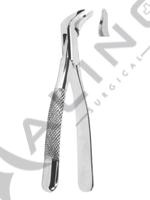 Extracting Forceps American pattern 