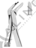 Extracting Forceps American pattern 