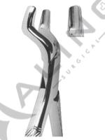 Extracting Forceps American pattern 